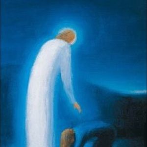 Meet your Posher, Shadman